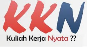 Tugas KKN di Desa: Fokus Struktur Program & Peran Anggota Divisi