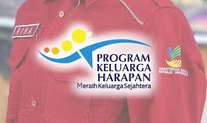 Pendamping PKH 2026 Cair & Daftar Peran Serta Gaji PPPK Desa